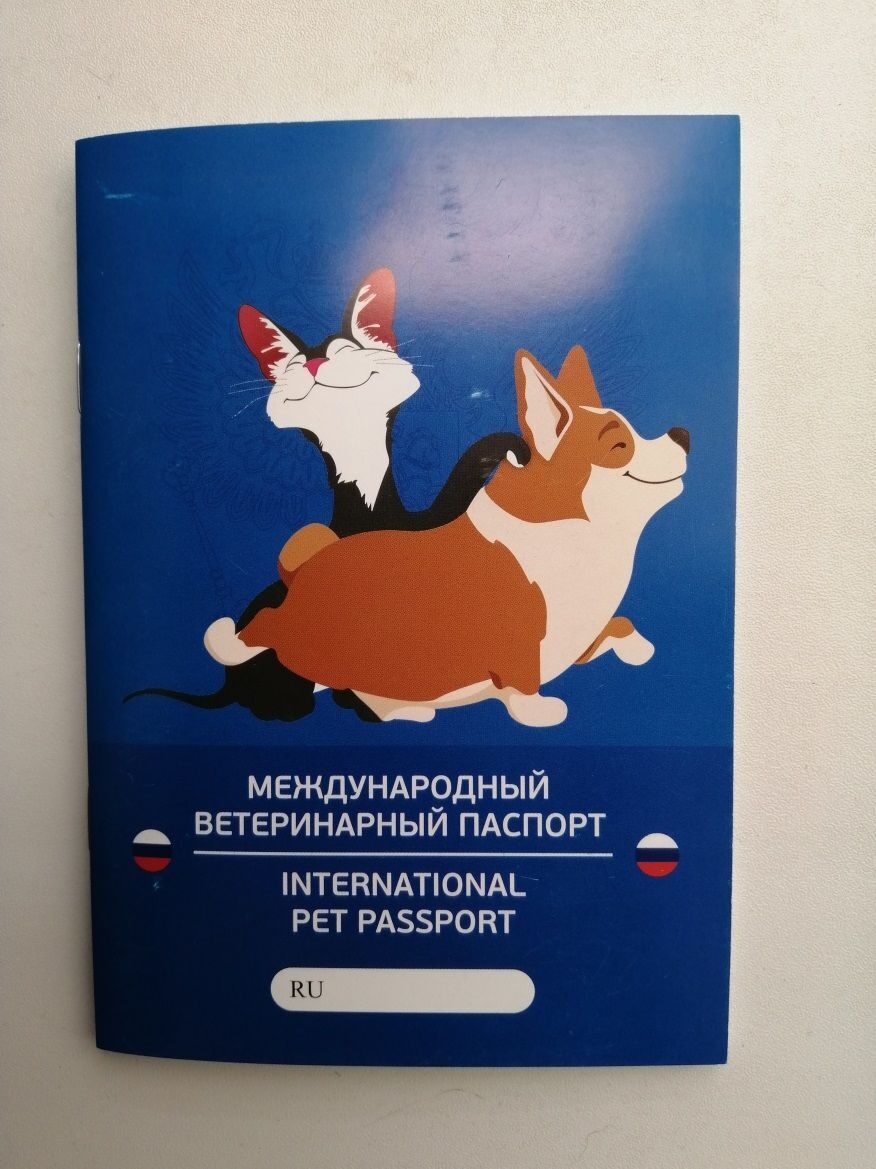 Фото Животного На Паспорт